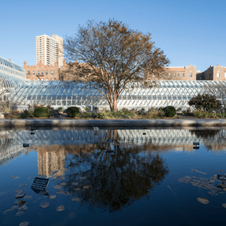 Brooklyn Botanic Garden South Gardens